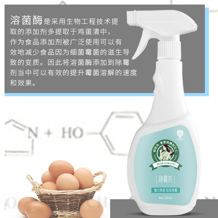 500ml 强效墙壁除霉剂 壁纸除霉剂 木板除霉剂 Wall Anti-mold Spray Wall mould removing spray Anti-mould Spray 墙壁除菌剂 Wall Mold Remover