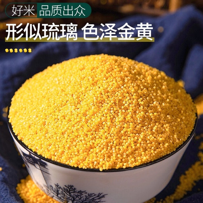 500g 养胃好消化优质黄小米Premium Grade Millet Yellow Millet Baby Millet养胃黄小米