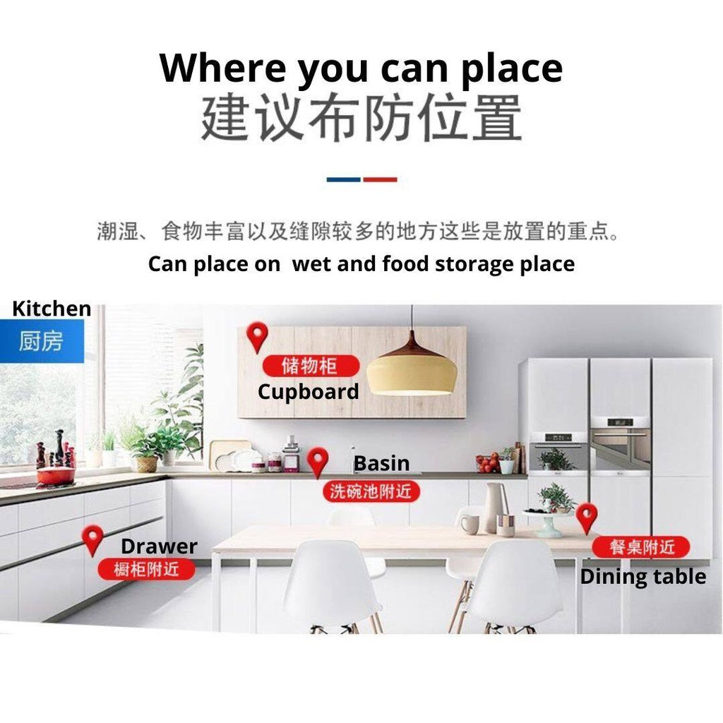 Natural Anti Rice Bugs Bag for 3 months usage 3个月使用渔生堂天然防米虫神器