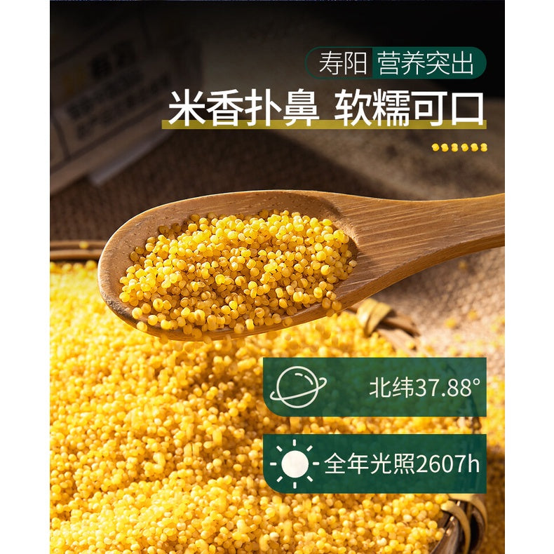 500g 养胃好消化优质黄小米Premium Grade Millet Yellow Millet Baby Millet养胃黄小米