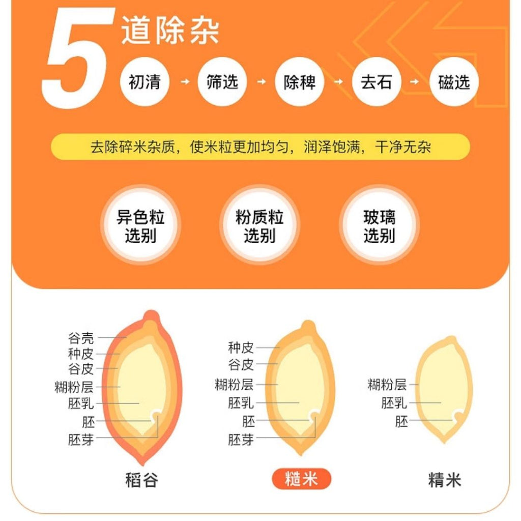500g/1kg Seven Colors Brown Rice Whole Grains Rice 七色糙米 (糙米 黑米 红米 燕麦米 高粱米 荞麦米 麦仁) 五谷杂粮 - 500g