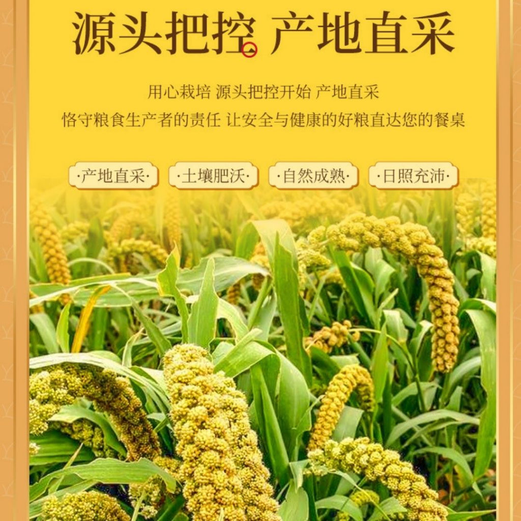 500g 养胃好消化优质黄小米Premium Grade Millet Yellow Millet Baby Millet养胃黄小米