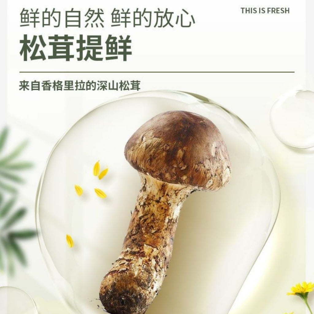 510g 无防腐剂 鲜美松茸鲜调味料 Matsutake Mushroom Cooking Seasoning Powder Preservative FREE