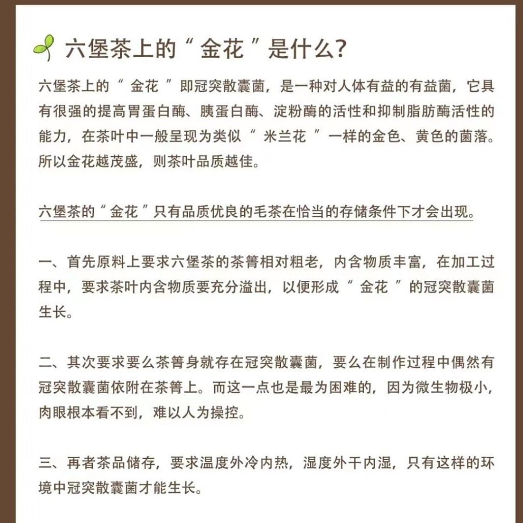 500g 孙俪推荐养生茶 十二年陈祛湿六堡茶 梧州广西特级黑茶 12 Years Reduce Dampness Black Tea