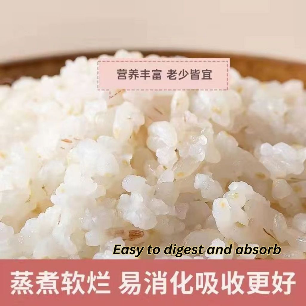 500g 稻草娃宝宝营养胚芽米 Organic Baby Germ Rice 软糯好消化 营养满满 Soft Germ Rice