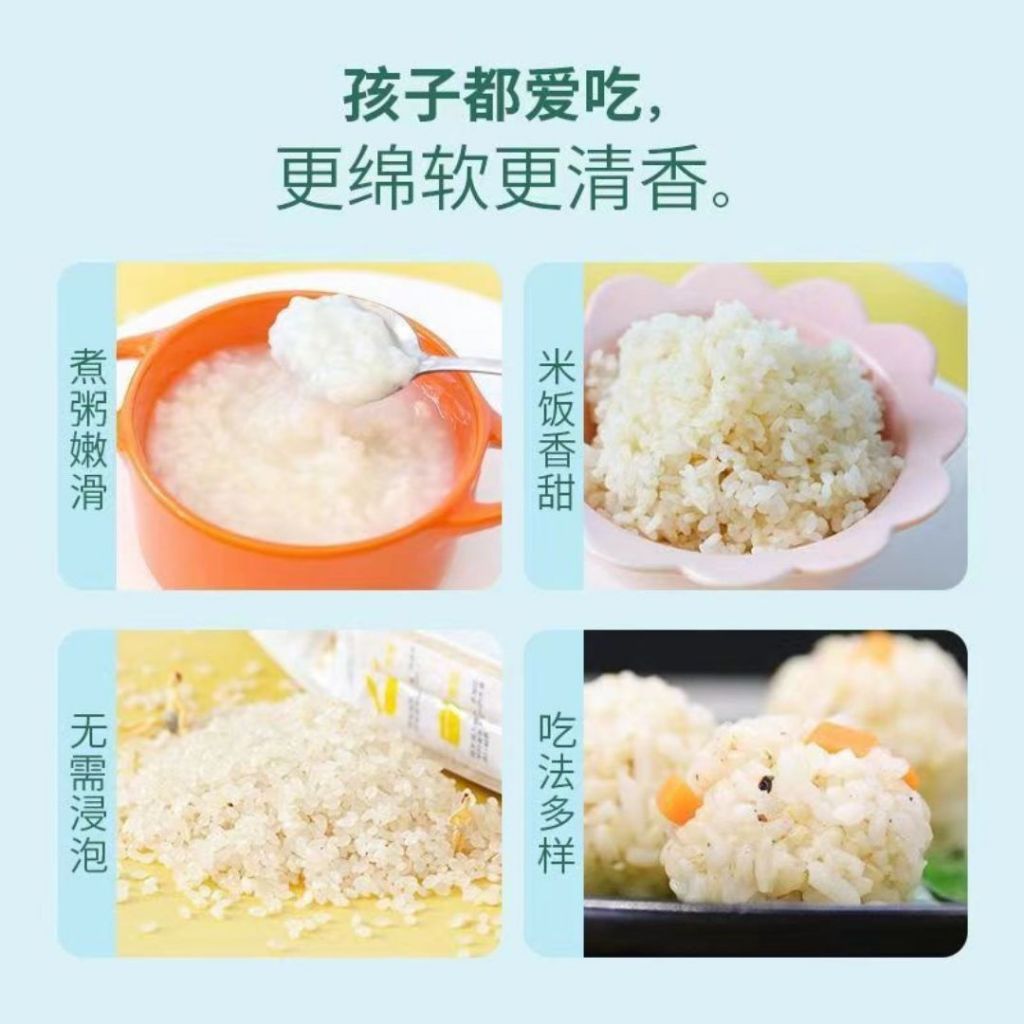 500g 稻草娃宝宝营养胚芽米 Organic Baby Germ Rice 软糯好消化 营养满满 Soft Germ Rice