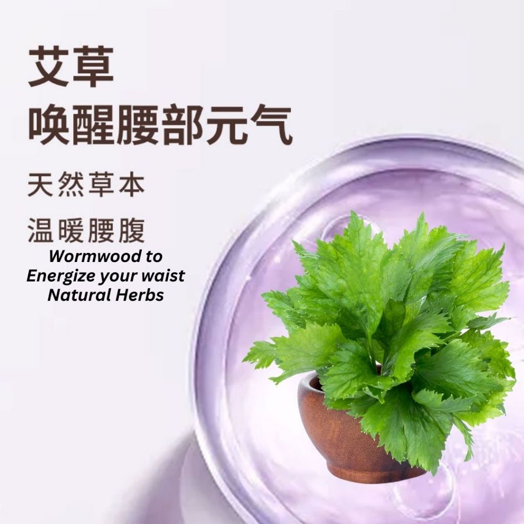 5pcs片/bag包 舒缓经痛腰酸背痛 艾草暖腰带艾草伸缩暖腰带 艾草暖腰贴 Wormwood Belly and Waist Warm Belt Relieve Menstruation Pain Wormwood Herbal Belt