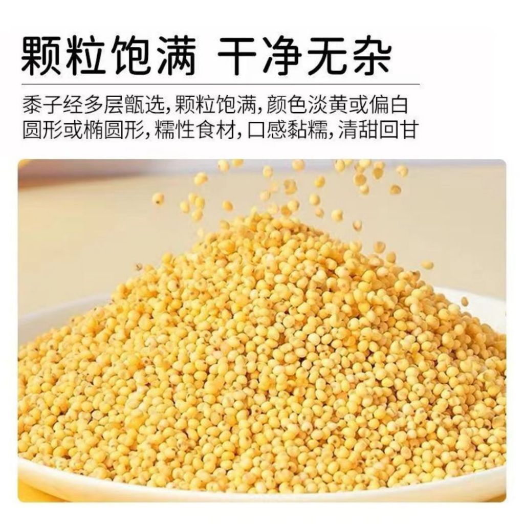 500g 软糯粘大黄米 可做小米粽子 黏大黄米黏小米 可做黄米凉糕/饭团 Sticky Yellow Millet Can Make Millet Dumpling/Millet Jelly 粘性小米