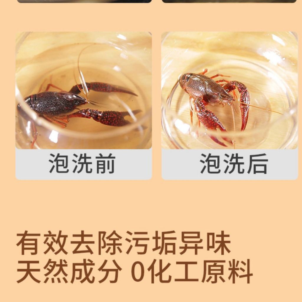 580g 清肉沫除激素 肉类海鲜清洁粉 Meat and Seafood Wash Meat Cleaning Powder 生鲜食材净 Seafood Cleaning Wash
