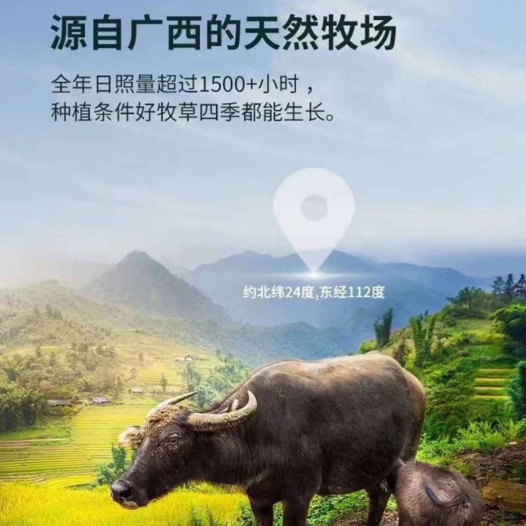 200ml*10btl瓶 悠纯认养 8.0g高蛋白吃甘蔗的水牛纯牛奶 High Protein 8.0g Protein Buffalo Pure Milk