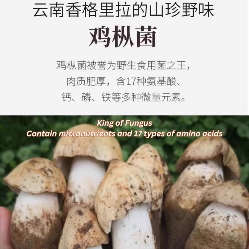 210g 全素 香菇鸡枞菌/香辣香菇鸡枞菌 拌饭拌面香菇酱 Vegan Mushroom Gallet Fungus Sauce/Spicy Mushroom Gallet Fungus Sauce