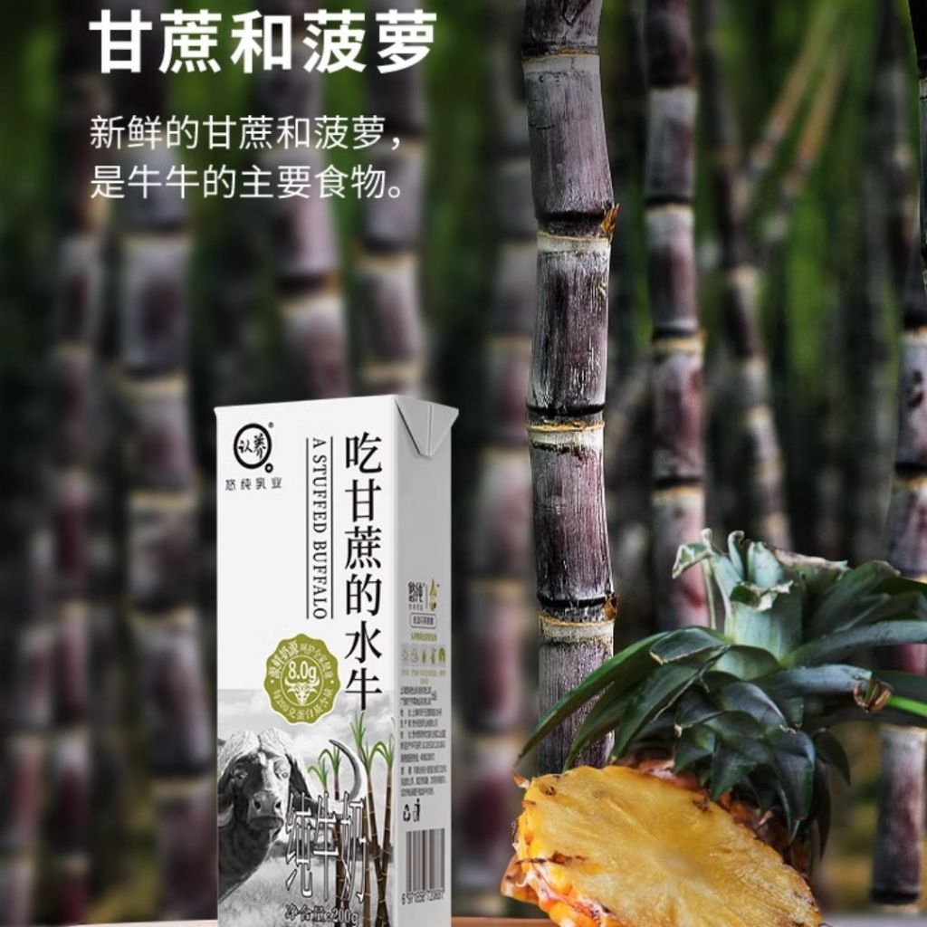 200ml*10btl瓶 悠纯认养 8.0g高蛋白吃甘蔗的水牛纯牛奶 High Protein 8.0g Protein Buffalo Pure Milk