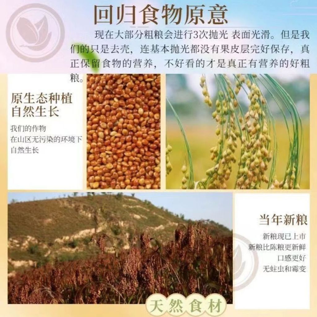 500g 软糯粘大黄米 可做小米粽子 黏大黄米黏小米 可做黄米凉糕/饭团 Sticky Yellow Millet Can Make Millet Dumpling/Millet Jelly 粘性小米