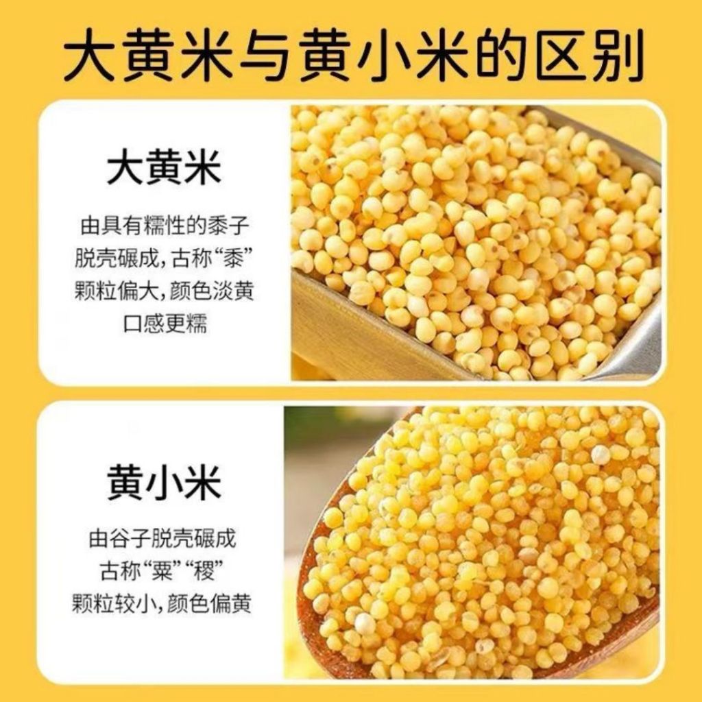 500g 软糯粘大黄米 可做小米粽子 黏大黄米黏小米 可做黄米凉糕/饭团 Sticky Yellow Millet Can Make Millet Dumpling/Millet Jelly 粘性小米