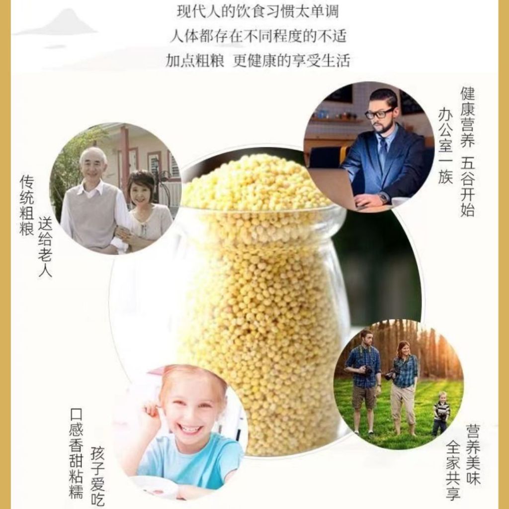 500g 软糯粘大黄米 可做小米粽子 黏大黄米黏小米 可做黄米凉糕/饭团 Sticky Yellow Millet Can Make Millet Dumpling/Millet Jelly 粘性小米