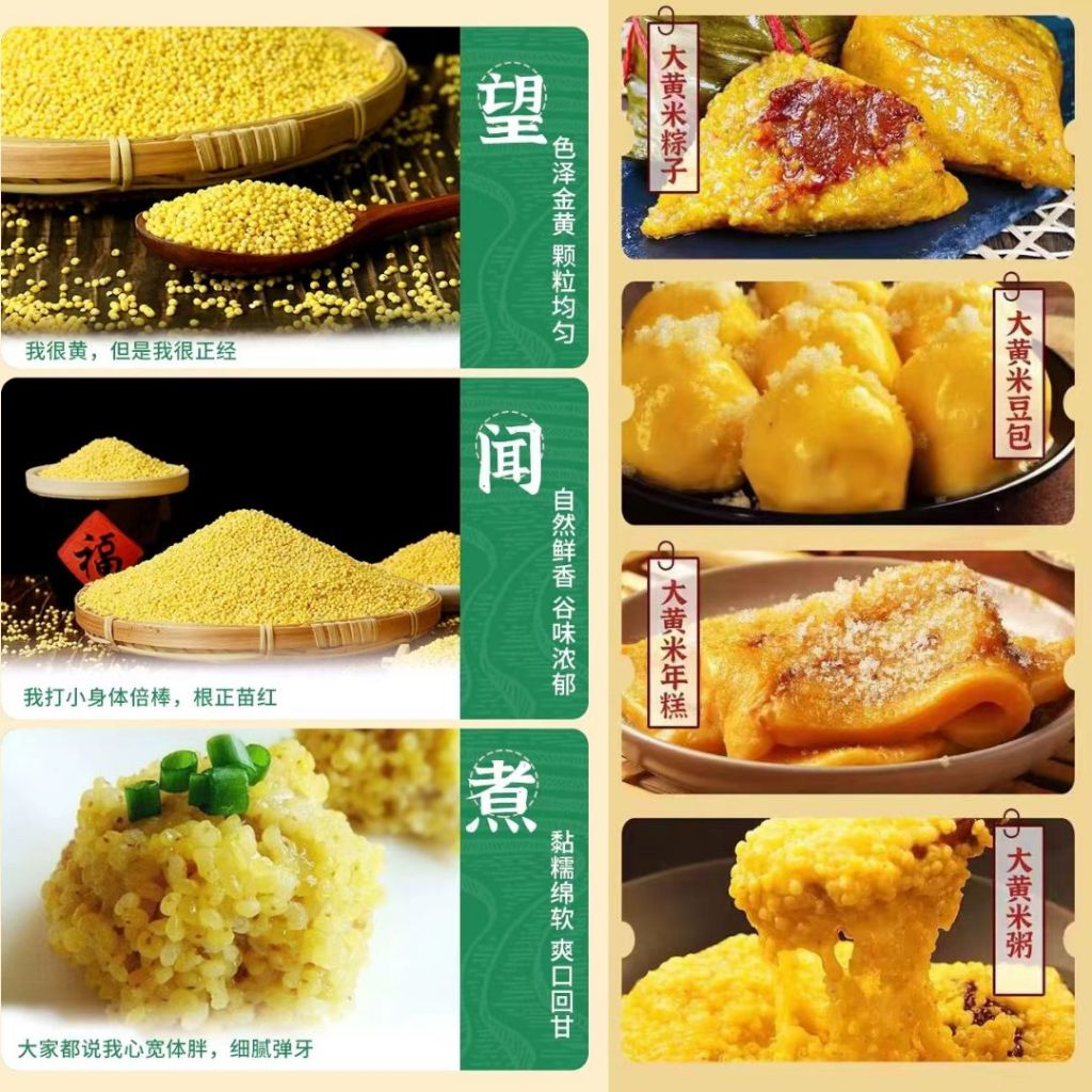 500g 软糯粘大黄米 可做小米粽子 黏大黄米黏小米 可做黄米凉糕/饭团 Sticky Yellow Millet Can Make Millet Dumpling/Millet Jelly 粘性小米