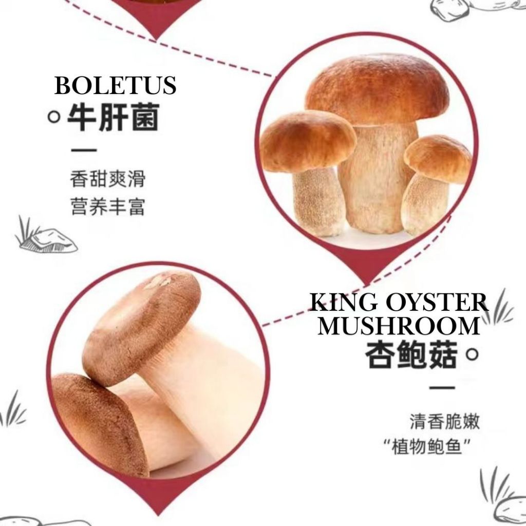 615g 海天香菇素蚝油 Haday Vegetarian Mixed Mushroom Oyster Sauce  Vegan Oyster Sauce 海天零脂肪香菇素蚝油