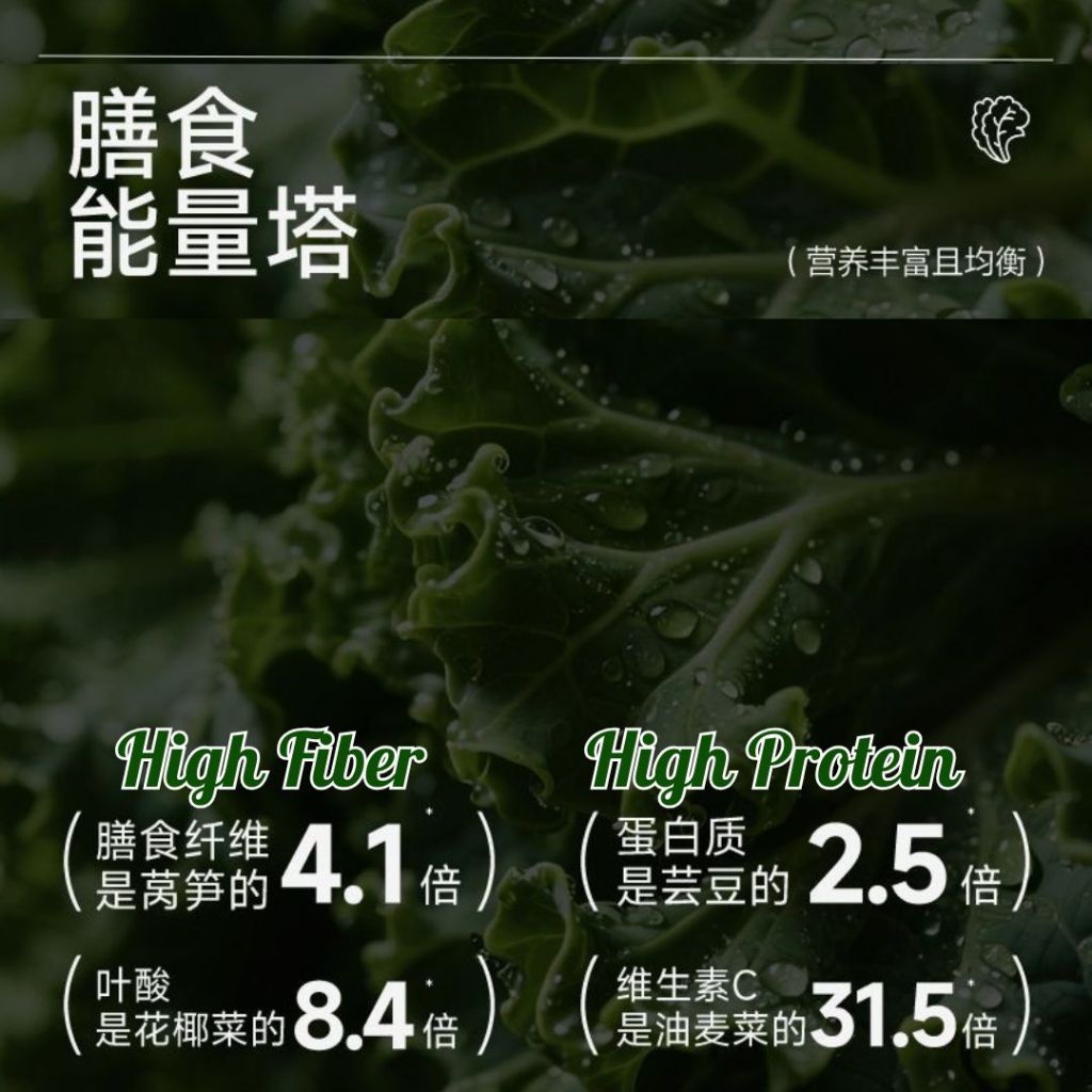 60g 林小生 羽衣甘蓝轻轻面 Kale Light Noodle 减脂期面条/糖友面条 Diet Kale Mee Kale Noodle