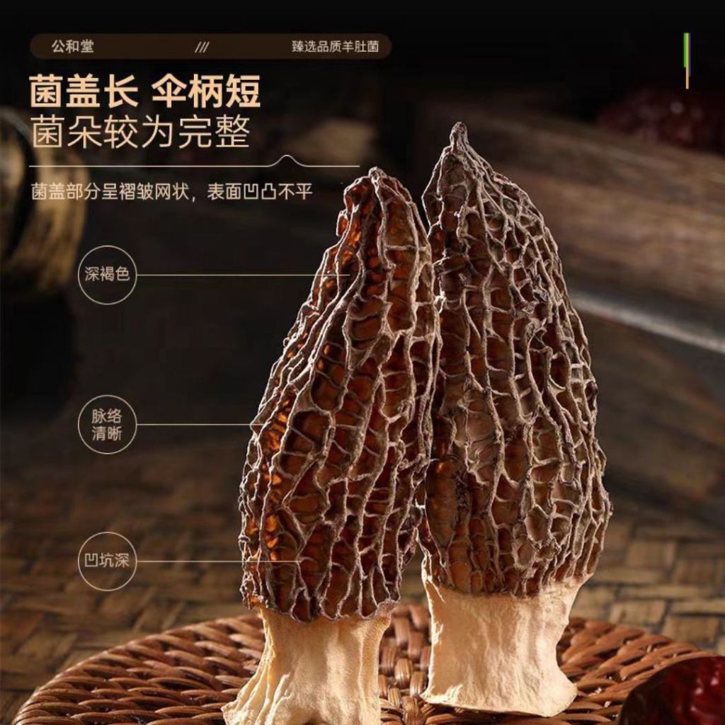 2025年 高质量云南羊肚菌 干货羊肚菌 Yunnan Kunming Dried Morels Year 2025 Morels Mushroom
