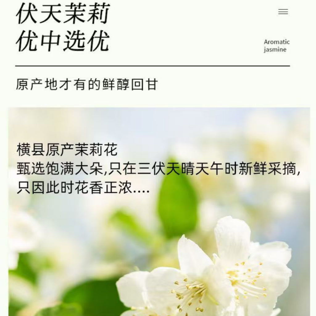 生津润燥 下火润喉 雪梨茉莉花茶 Pear Jasmine Flower Tea Freshen Throat
