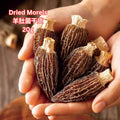 2025年 高质量云南羊肚菌 干货羊肚菌 Yunnan Kunming Dried Morels Year 2025 Morels Mushroom