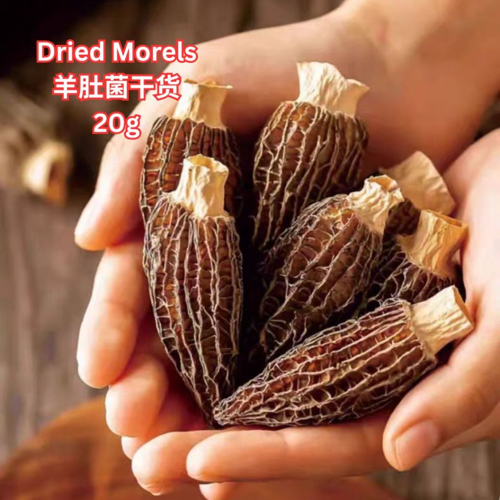 2025年 高质量云南羊肚菌 干货羊肚菌 Yunnan Kunming Dried Morels Year 2025 Morels Mushroom