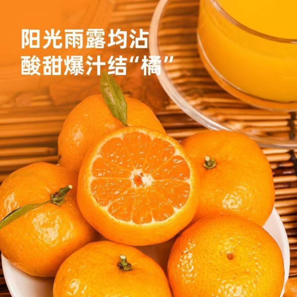 480ml 海天无添加橘子醋 3年陈醋 Hayday Mandarin Vinegar Salad Dressing Orange Vinegar Salad Dressing Sauce