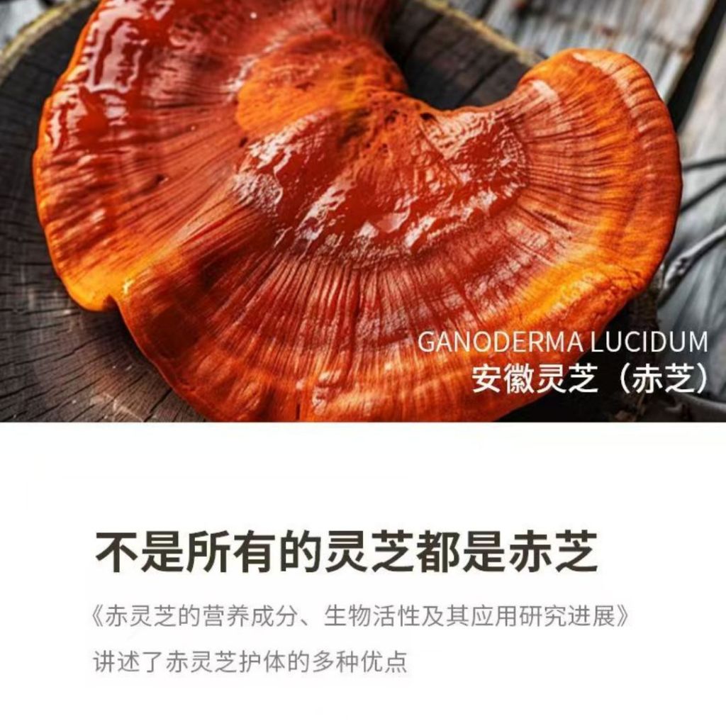 WHATEVER Black Coffee By Daniel Wu 吴彦祖创办 WHATEVER黑咖啡 灵芝黑咖啡/人参黑咖啡/运动黑咖啡/深海鱼胶原蛋白黑咖啡 Ginseng/Sport/Collagen/Lingzhi Coffee