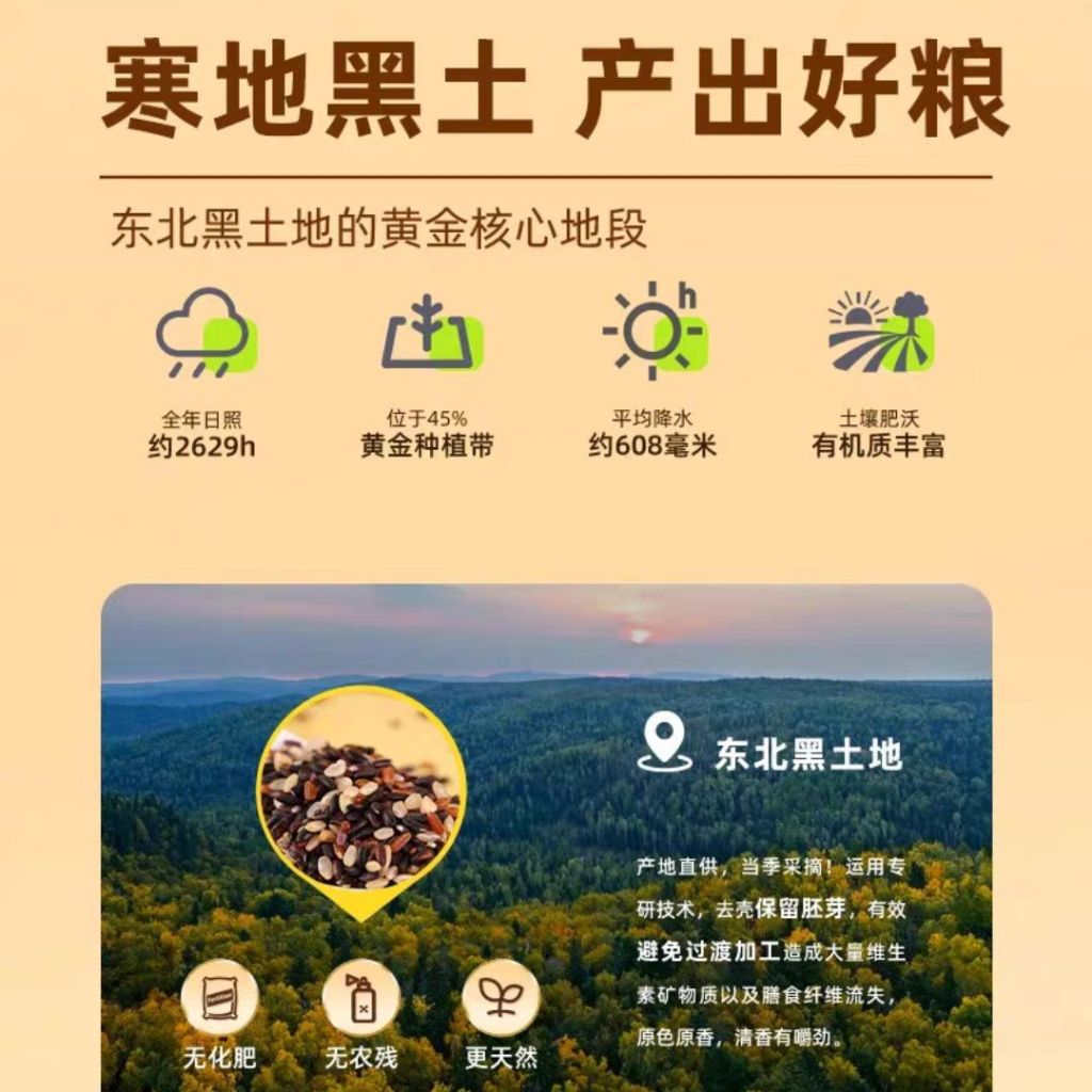 500g 邹有才 十色糙米 孕妇糖友可吃 10 Color Mixed Brown Rice 十谷米 汾都香十色糙米 10 Color Mixed Grain Brown Rice 减脂糙米