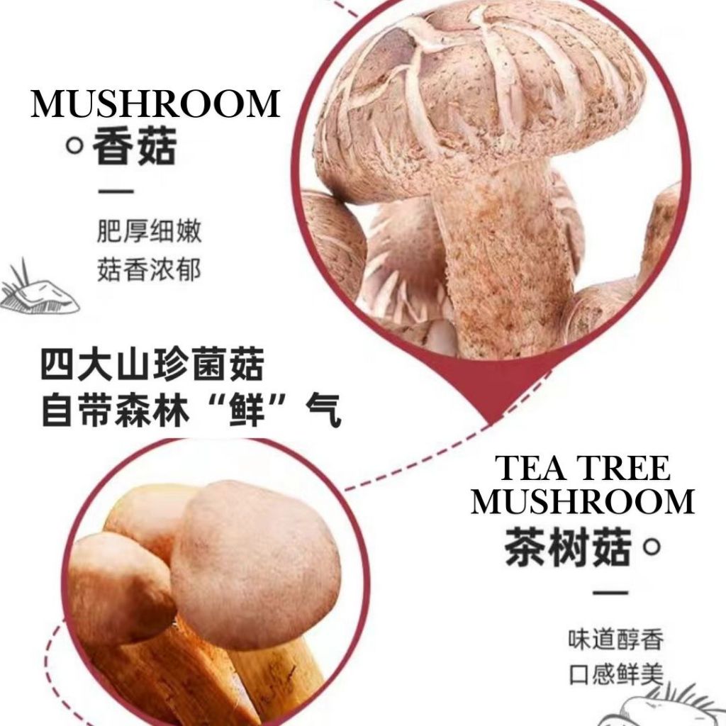 615g 海天香菇素蚝油 Haday Vegetarian Mixed Mushroom Oyster Sauce  Vegan Oyster Sauce 海天零脂肪香菇素蚝油