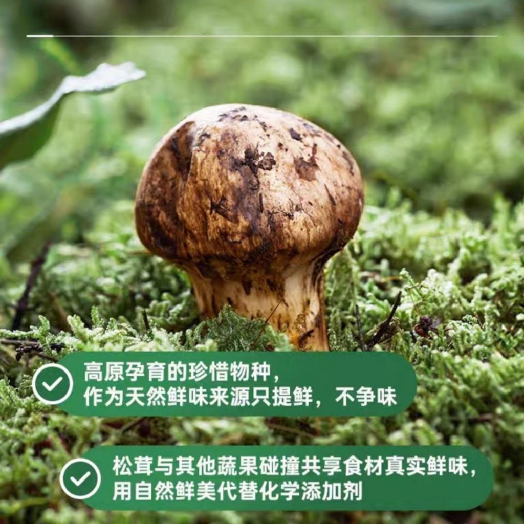 580g 无添加 ❌农药  升级金标松鲜鲜高山松茸酱油 母婴食用酱油 Matsutake Mushroom Soy Sauce *Preservative Free *Baby Friendly