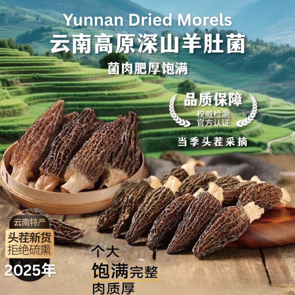 2025年 高质量云南羊肚菌 干货羊肚菌 Yunnan Kunming Dried Morels Year 2025 Morels Mushroom
