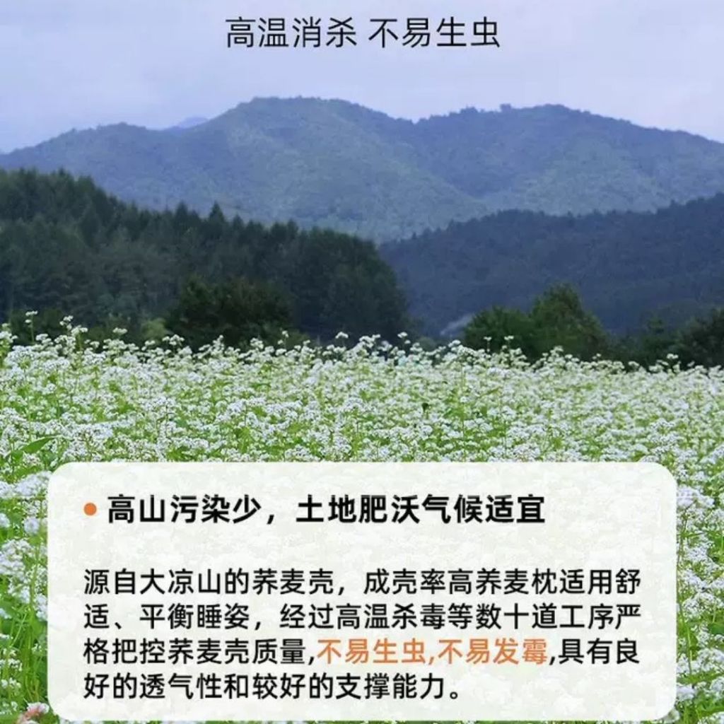 Buckwheat Neck Support Pillow 荞麦颈椎枕头 Antibacterial Buckwheat Pillow 颈椎拉伸荞麦枕头 颈椎拉伸枕头 Neck Stretching Pillow