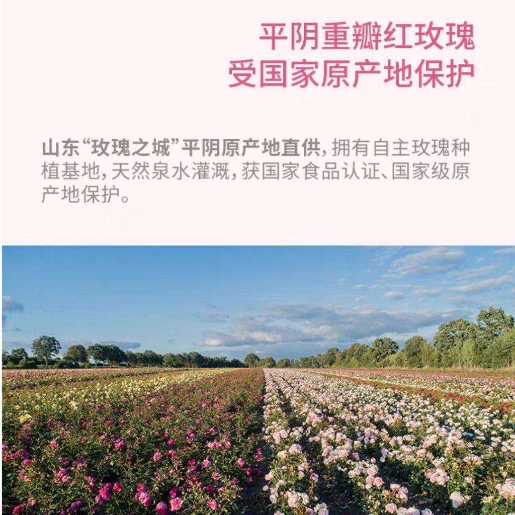 25g 玫瑰花沫 Crushed Rose Petal 可做玫瑰咖啡/玫瑰馒头/玫瑰糖水 Can made Rose Coffee/Rose Mantou/Rose Dessert 玫瑰花碎