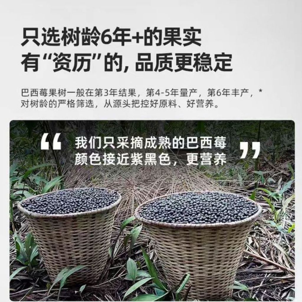 20 Sachets条/Box盒 纯巴西莓粉 Pure Acai Berry 高抗氧化高花青素巴西莓粉 High Antioxidants Acai Berry
