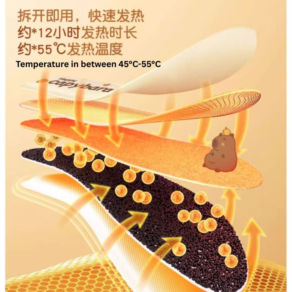5 Pairs双 Winter Heating Shoes Insoles 加热鞋垫 冬季旅行必备 冬天暖脚神器 Shoes Insoles Warmer/ Tapak Kasut Pemanas Musim Sejuk 冬季加热鞋垫