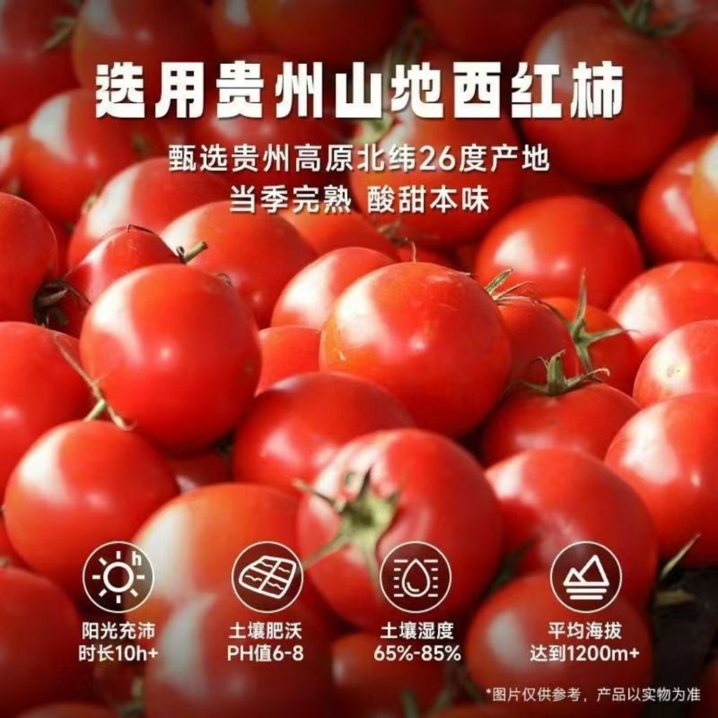 58g 酸酸辣辣 南山婆 贵州酸汤火锅底料 Gui Zhou Spicy Tomato Sour Soup Base 贵州火锅汤底 酸汤汤底 红酸汤 Spicy Tomato Instant Soup