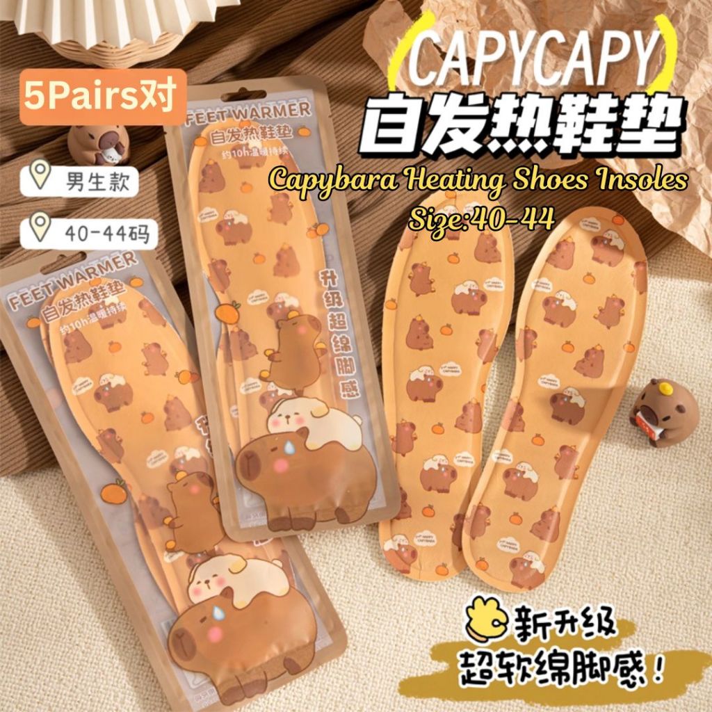 5 Pairs双 Winter Heating Shoes Insoles 加热鞋垫 冬季旅行必备 冬天暖脚神器 Shoes Insoles Warmer/ Tapak Kasut Pemanas Musim Sejuk 冬季加热鞋垫