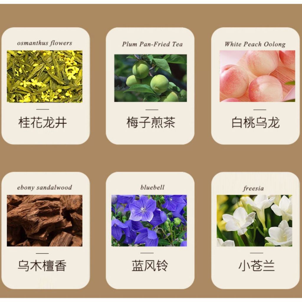 100g Tea Scent Aromatherapy Candles 茶香香氛蜡烛 精油香氛蜡烛 Osmanthus Tea Candle桂花龙井蜡烛/ White Peach Oolong Candle白桃乌龙蜡烛/梅子煎茶蜡烛