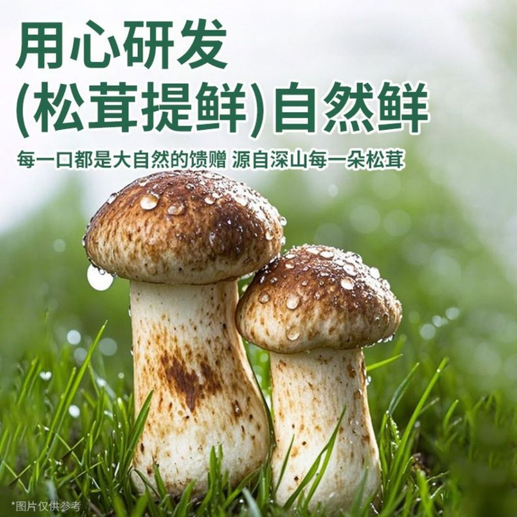 25g 独立包装 松茸葱油酱 Matsutake Scallion Sauce 松茸拌面葱油酱 Individual Noodle Scallion Sauce/ Spring Onion Sauce