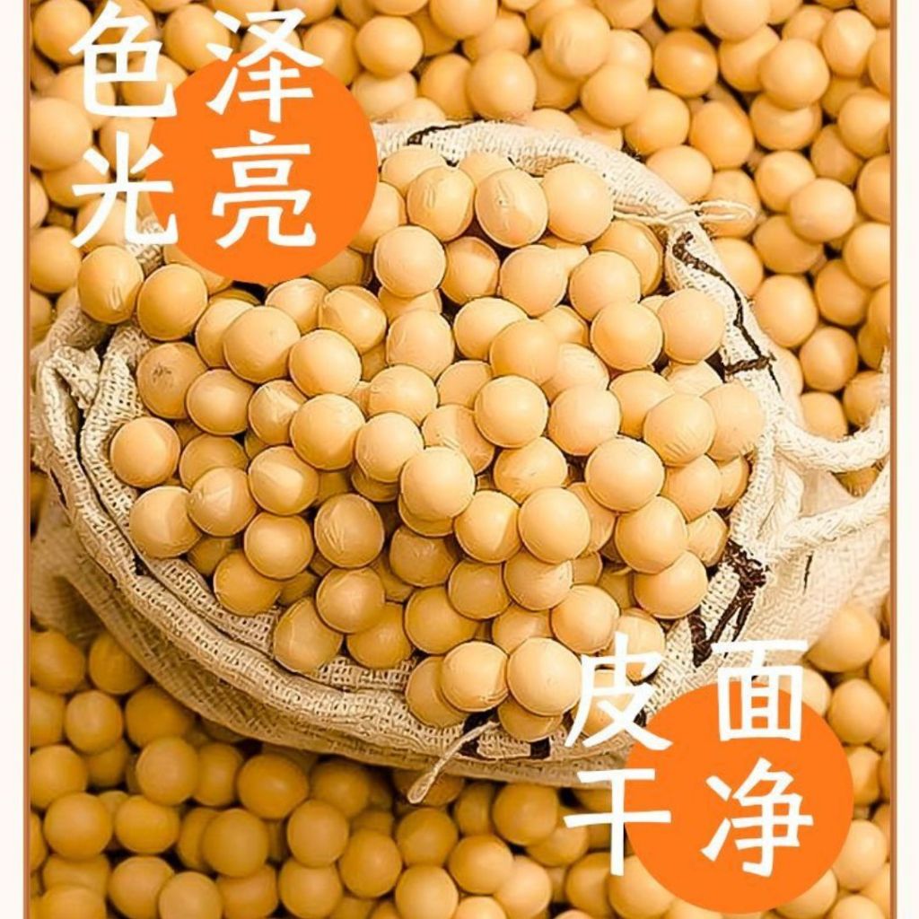 50g 重庆耙豌豆 豌豆拌面酱 Chong Qing Cooked Pea / Chong Qing Pea Bean Mixed Noodle Paste