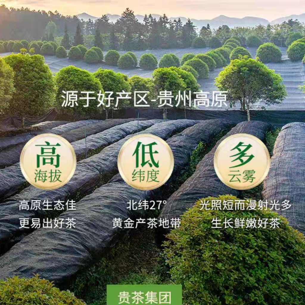 贵州一级纯抹茶粉 First-class Matcha Powder No Sugar 无糖一级抹茶粉 Green Tea Powder