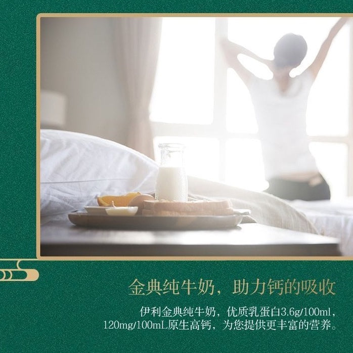 250ML*12 Packs包 100% Organic Milk Fresh Pure Milk 伊利金典有机纯牛奶
