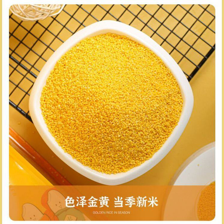 1kg 双层真空装 内蒙古赤峰 养胃养生黄小米 Vacuum Packed Yellow Millet 黄金苗黄小米