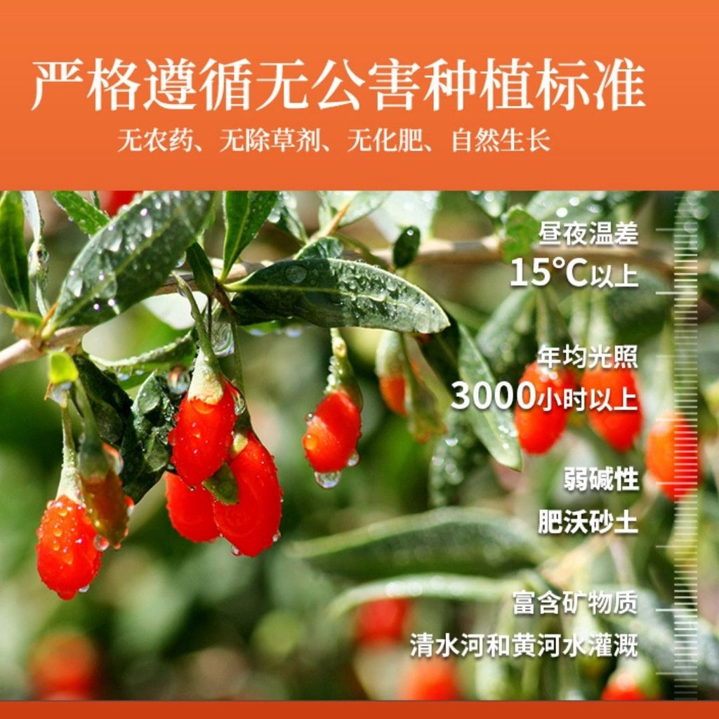 30ml 宁夏宁安堡明目养颜养眼枸杞原浆 鲜榨宁夏枸杞汁Pure Fresh Goji Berry Juice 30ml Pure Wolfberry Juice goji juice