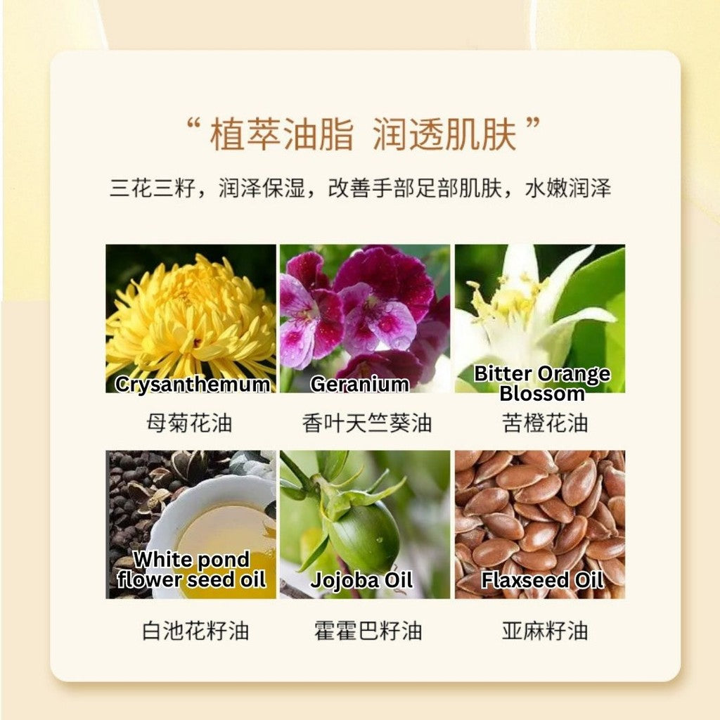 10ml 三花三籽精油护甲油 淡化手纹滋润甲边 3 Flower & 3 Seed-Based Nail Care Essential Oil Roller 三花三籽美甲指缘精华油营养油护理缝修  防干裂滋润补水滋养亮指甲美甲护理