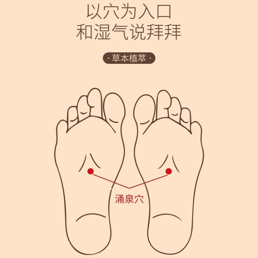5 Pairs对/box盒 白云山草本艾草生姜竹炭足贴  Wormwood Ginger Bamboo Charcoal Detox Foot Patch 10 patches 袪湿气足部护理暖贴生姜竹醋睡眠足贴
