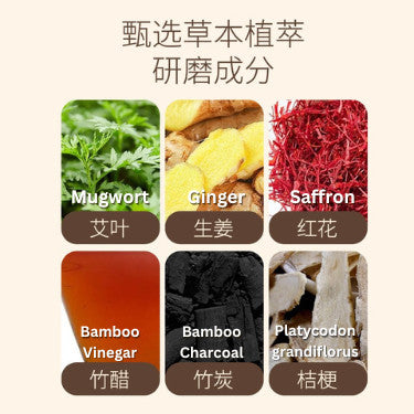 5 Pairs对/box盒 白云山草本艾草生姜竹炭足贴  Wormwood Ginger Bamboo Charcoal Detox Foot Patch 10 patches 袪湿气足部护理暖贴生姜竹醋睡眠足贴