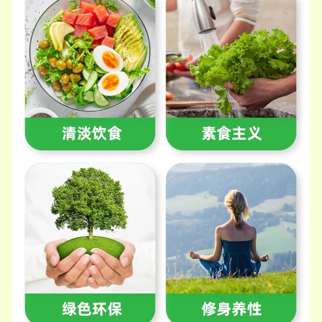600g 无五辛 海天菌菇素蚝油 Haday Vegan Mushroom Oyster Sauce 5 Spices Free Vegan Oyster Sauce 素食配方 零脂肪素蚝油