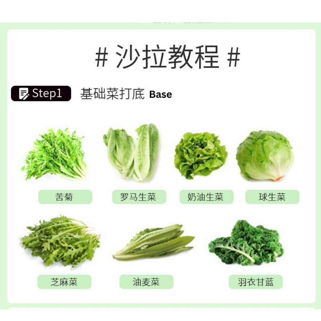 280g 正红0脂日式风味油醋汁 Fat Free Japanese Style Oil Vinegar Salad Dressing Sauce Condiments